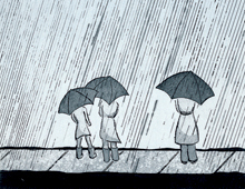 Shelter