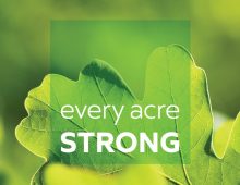 Lake County Forest Preserves Endowment Campaign Lake County Forest Preserves Endowment Campaign