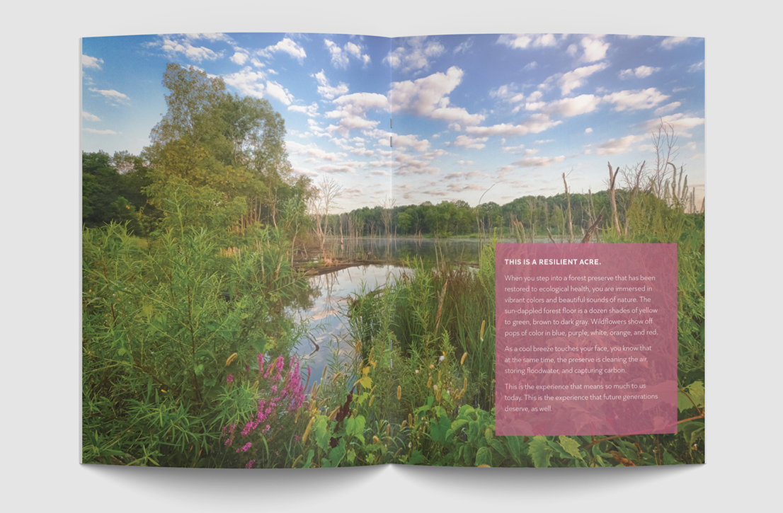 Stauber Brand Studio portfolio images of client work for Lake County Forest Preserves, Preservation Foundation community campaign