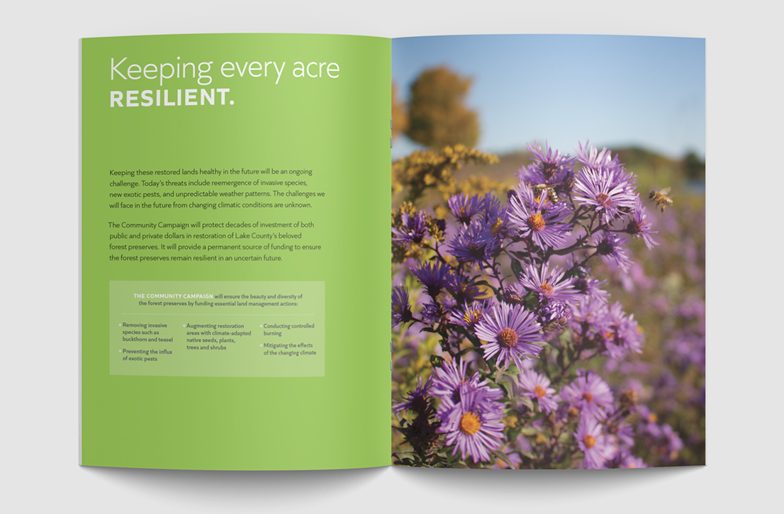 Stauber Brand Studio portfolio images of client work for Lake County Forest Preserves, Preservation Foundation community campaign